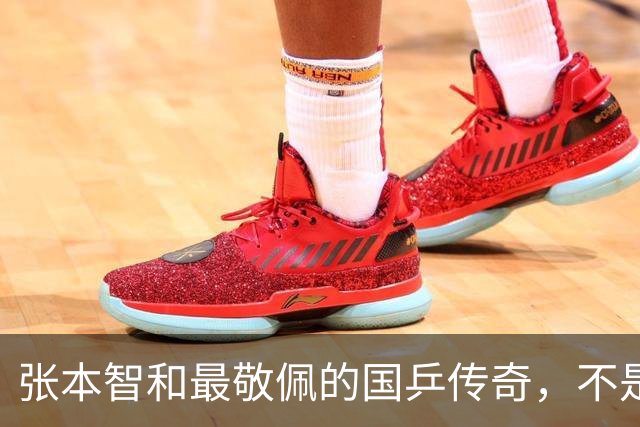 张本智和最敬佩的国乒传奇，不是马龙，而是那个让他苦追10年的人